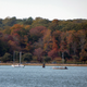 Illustration for article titled 76 Stunning Photos Of Fall Leaves